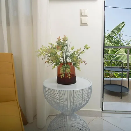 Daire Spectacular Near Dance Hall/center *